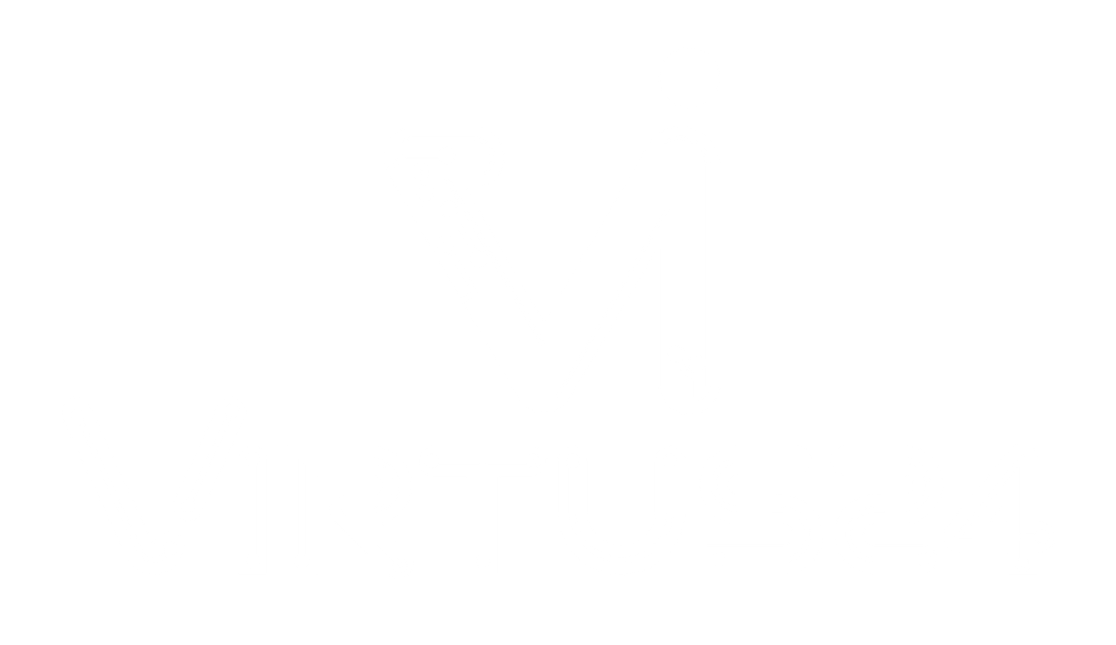 Virtus24 Logo